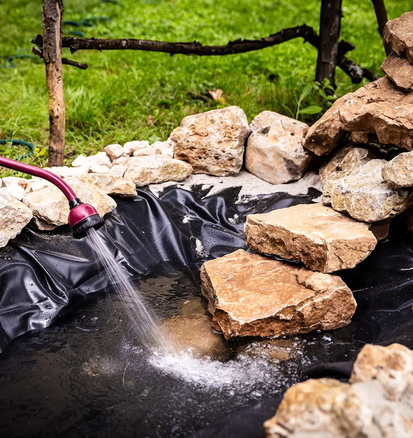 Watering garden pond with rocks and hose.